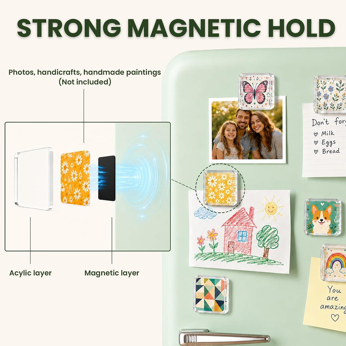 Fridgies Magnets